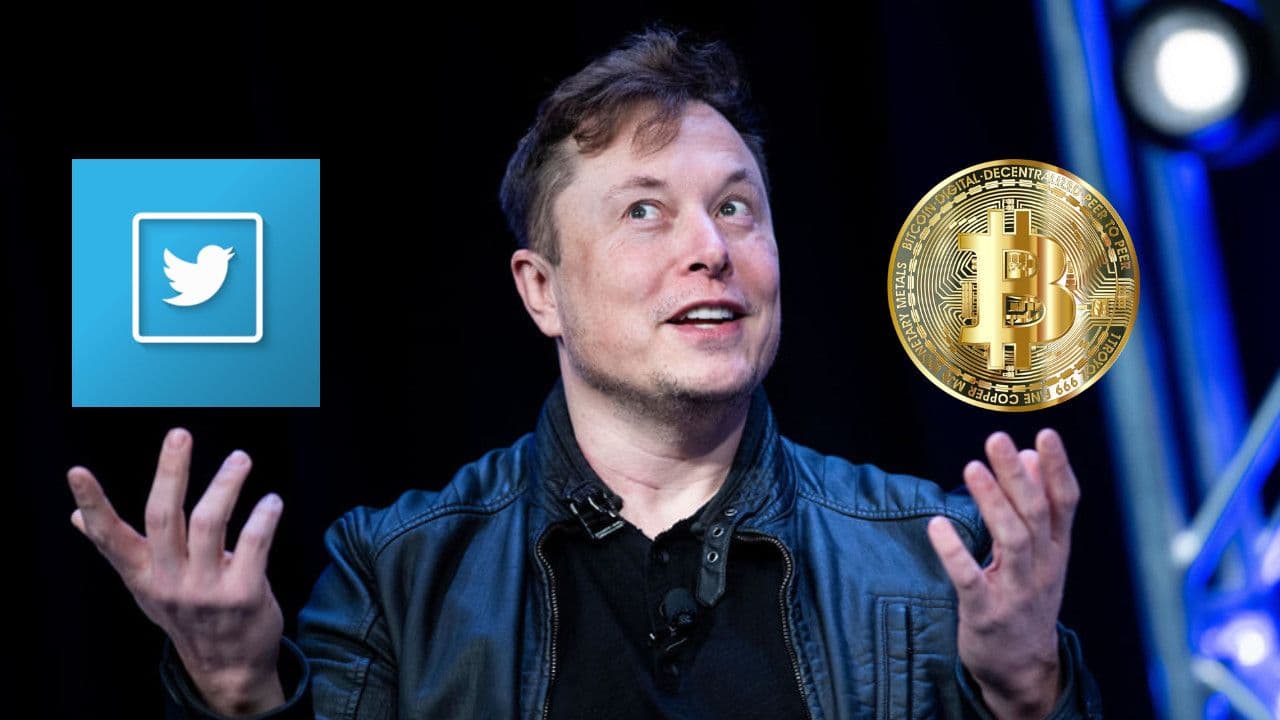 Ist Twitter DER Kanal, um den Bitcoin explodieren zu lassen?