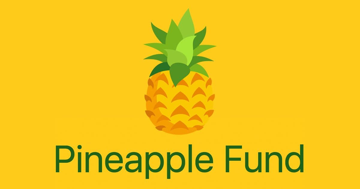 “Pineapple Fund” verschenkt 55 Millionen Dollar