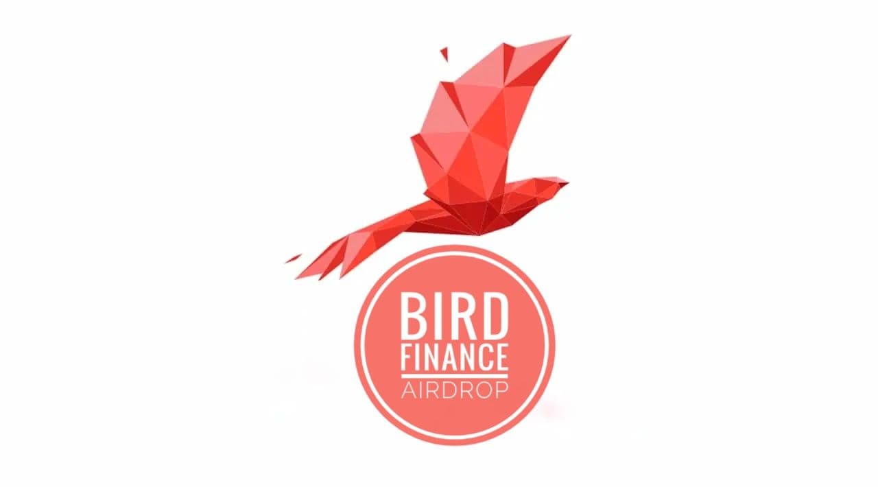 How to Participate in the Bird AIRDROP