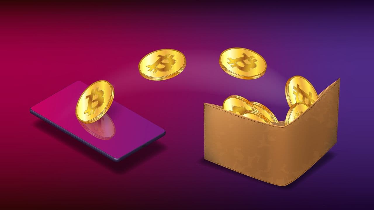 Was sind die besten Bitcoin Wallets im Jahr 2022? – Eine Ubersicht