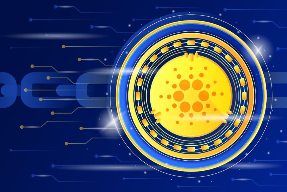 Cardano Prognose – Warum DU aus Cardano aussteigen solltest!