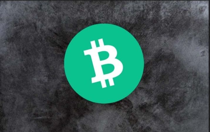 Is Bitcoin Cash Still a Worthwhile Investment in 2022? Buy $BCH?