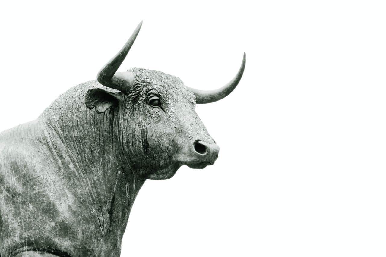 cryptos that gained