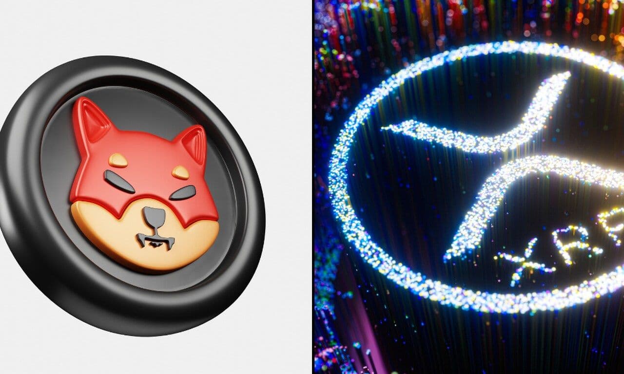 Shiba Inu vs. XRP: Welches Unternehmen wird zuerst 1 Dollar erreichen?