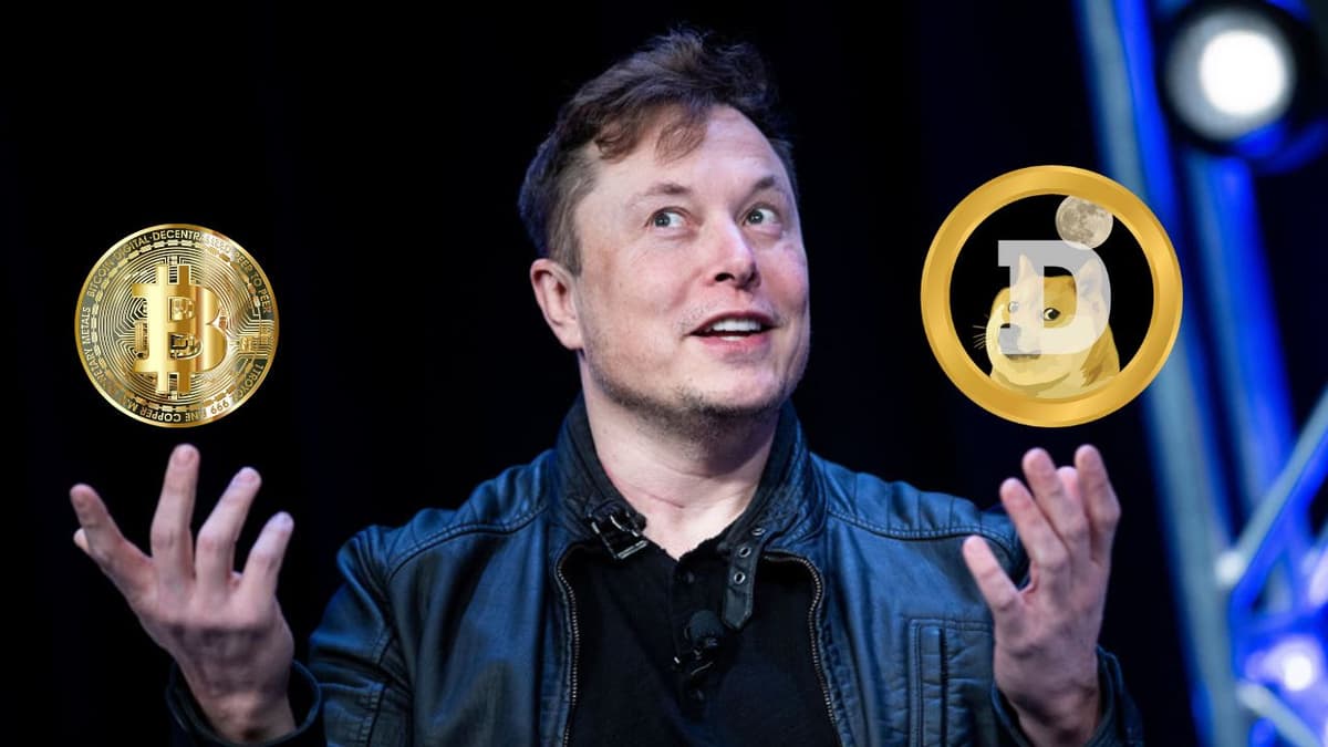 Wird X Kryptowahrungen integrieren? Elon Musk erklart…