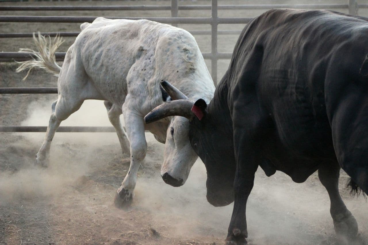 Bitcoin weiter im Bullenmarkt? – Diese 3 Grunde sprechen dafur | Optimistische Analyse