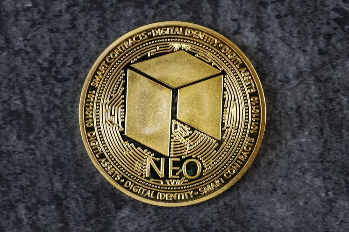 NEO Kurs