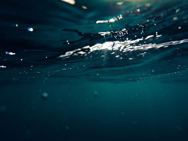 Featured article image