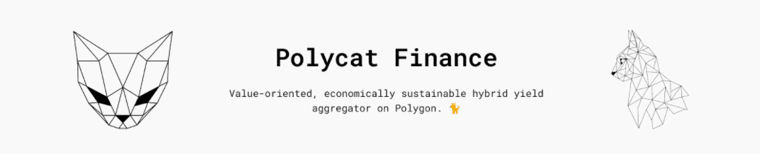 80.000% in nur einem Jahr? $FISH$ von Polycat.Finance erobert Polygon (Matic) im Sturm