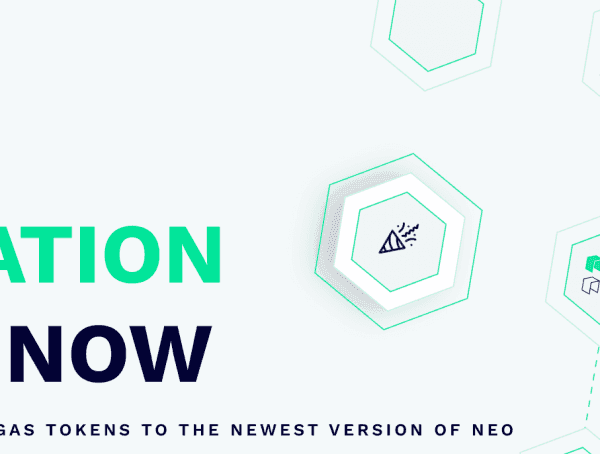 是否应该将NEO添加到投资组合中？