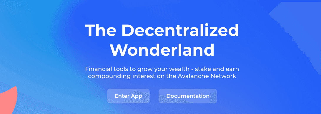 Why You Should Add The TIME Token To Your Portfolio