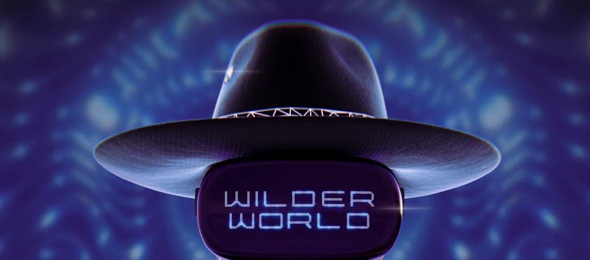 Everything You Should Know About Wilder World Crypto Game