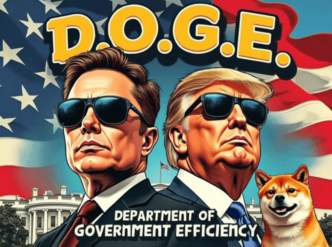 elon, trump, doge