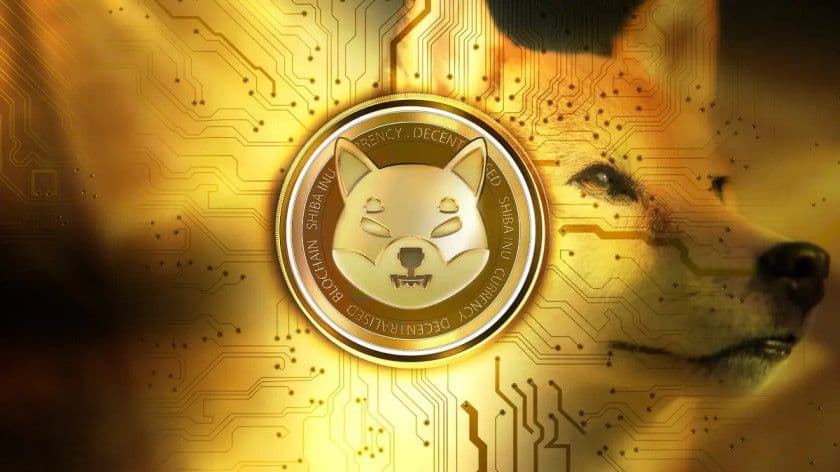 Why Is Shiba Inu Price Up?