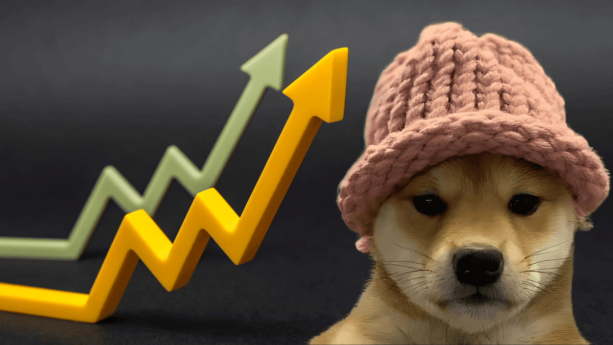 WIF Price Prediction: Big Gains, Why Is Dogwifhat Up?