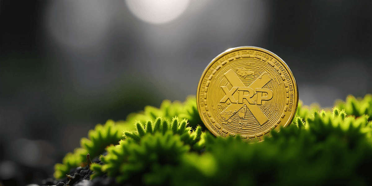 XRP News