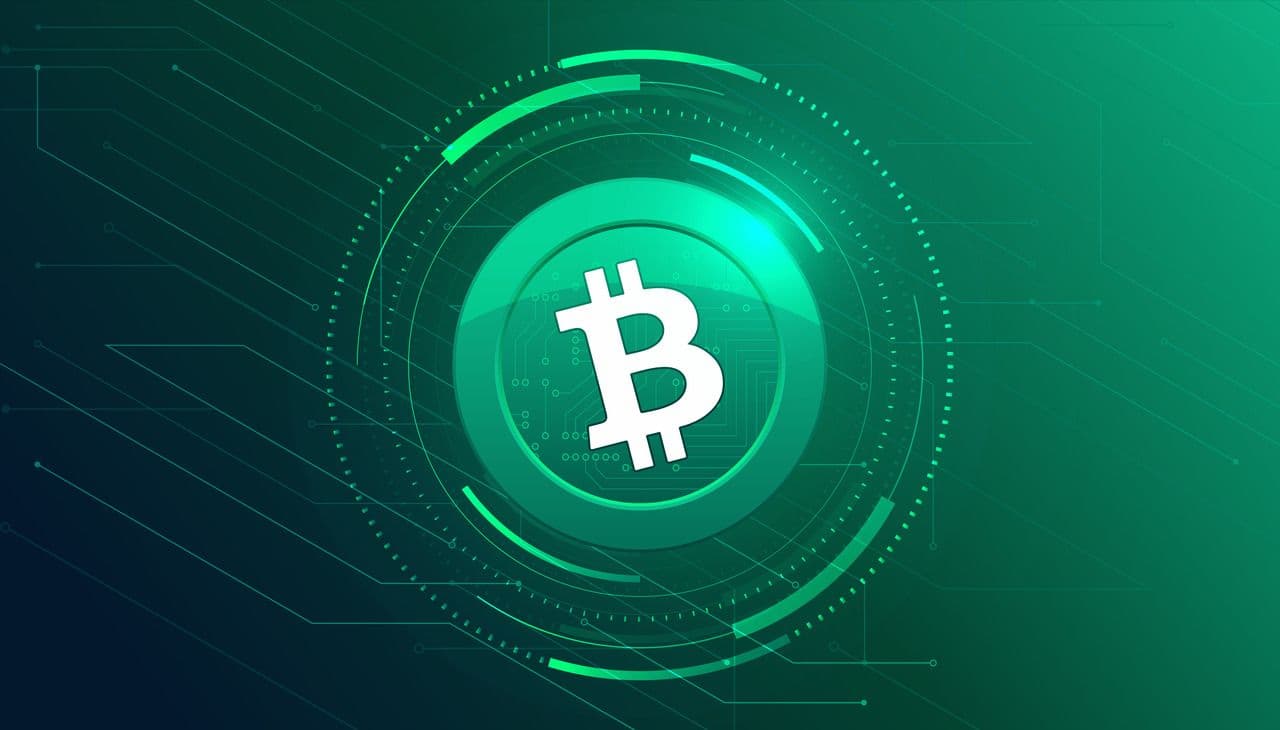 Bitcoin Cash Price Prediction: An Algorithmic Approach to Price Forecasting
