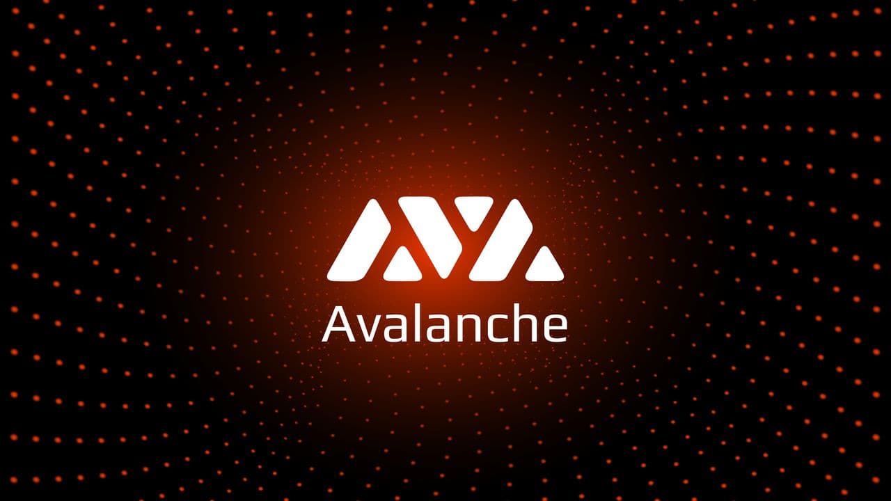 Wie fuge ich Avalanche (AVAX) zu MetaMask hinzu?