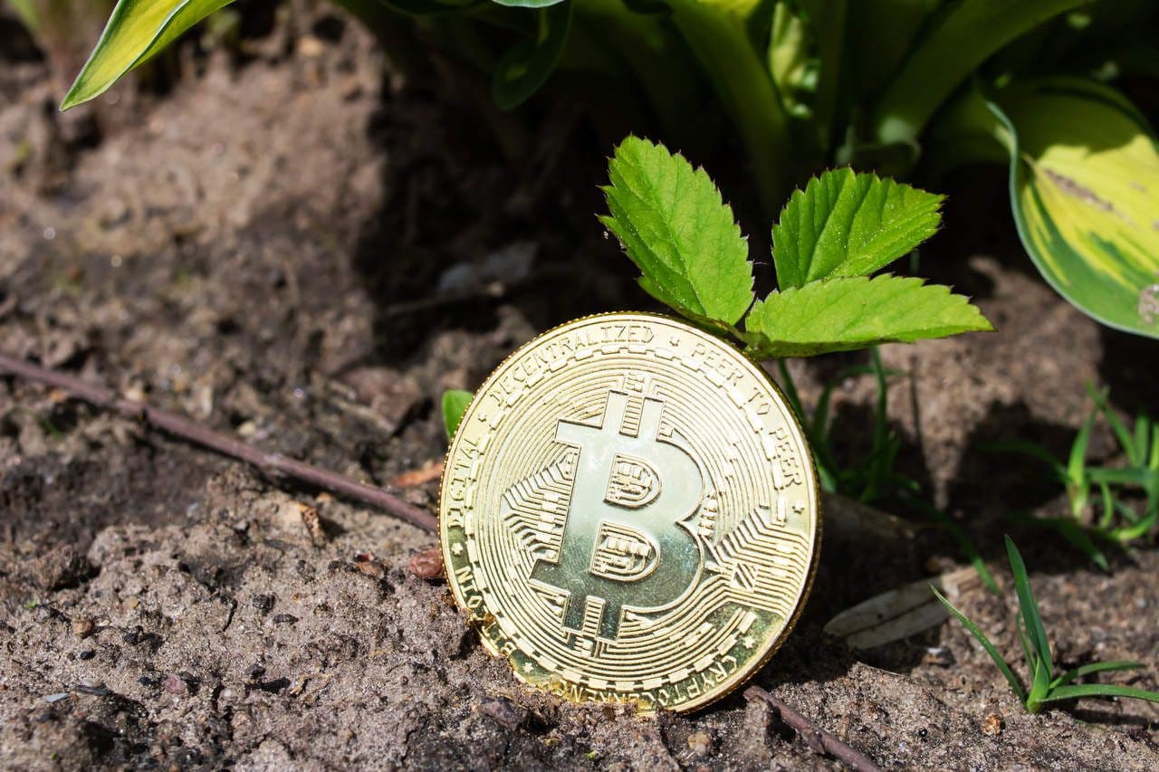Ist der Bitcoin wirklich schadlich fur die Umwelt? – Diese Daten sagen etwas anderes!