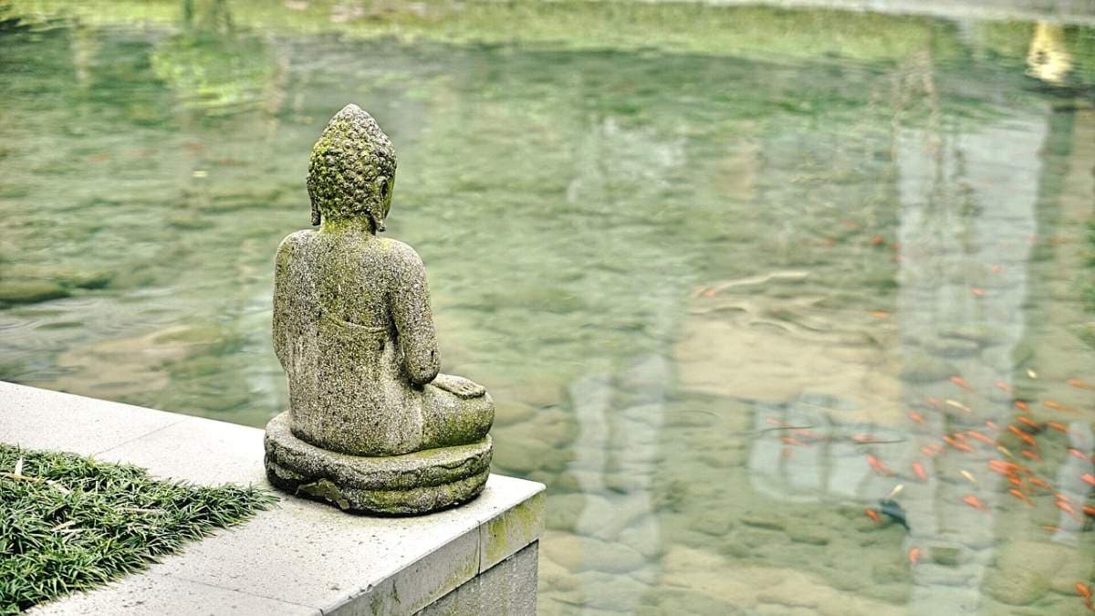 Investieren und die Lehren des Zen – Bitcoin Kurs