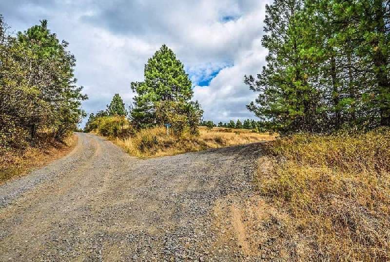 Bitcoin Cash – BCH oder BSV