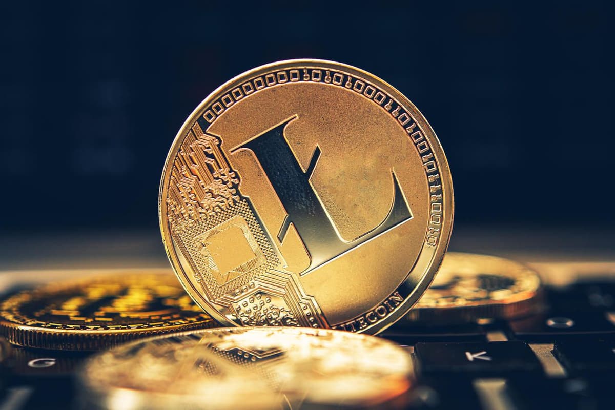 Litecoin-Wale investieren 230 Millionen US-Dollar, während das Bitcoin Halving näher rückt
