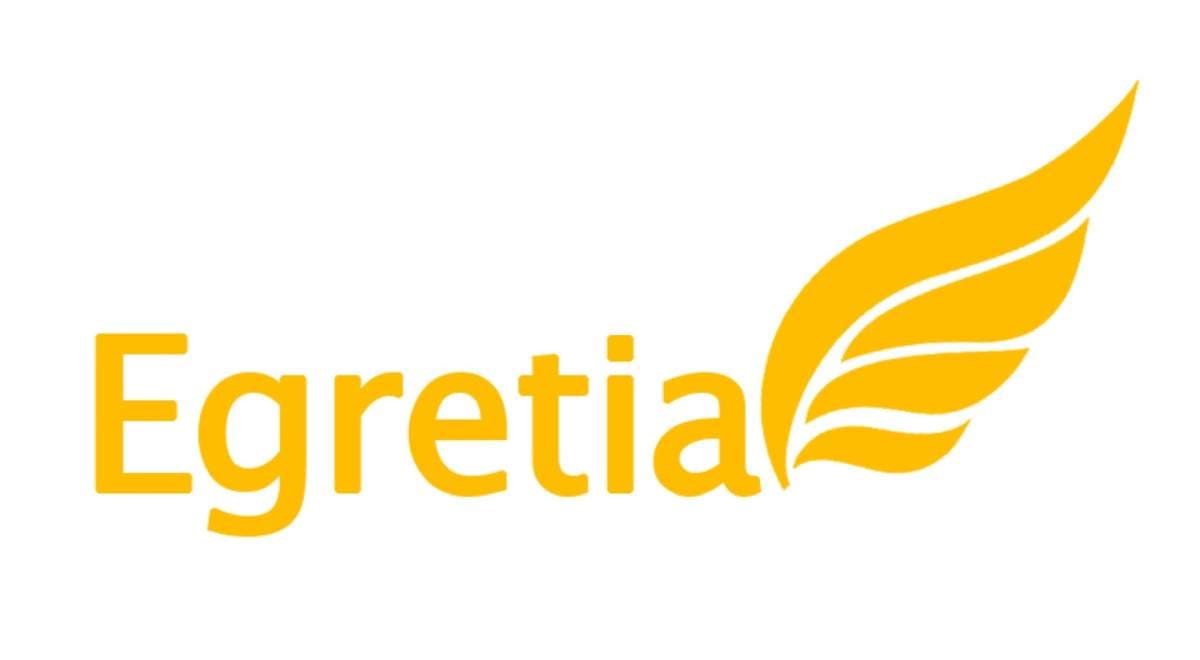 Egretia: Dieser Coin hat sich 2019 ver-144-facht