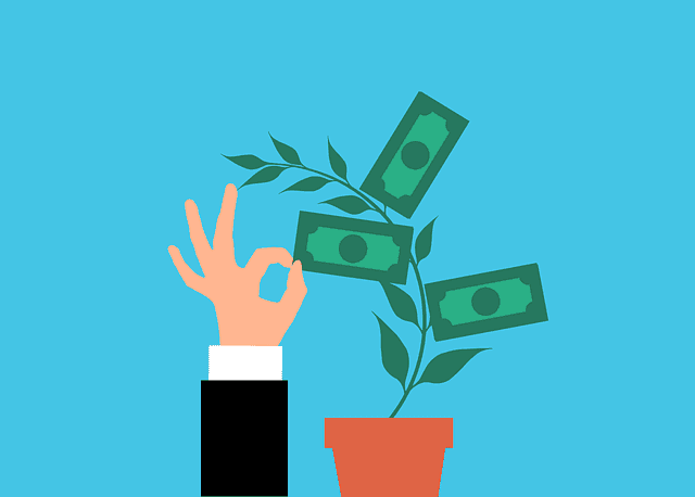 Anchor Protocol (ANC): adios al staking del 20%