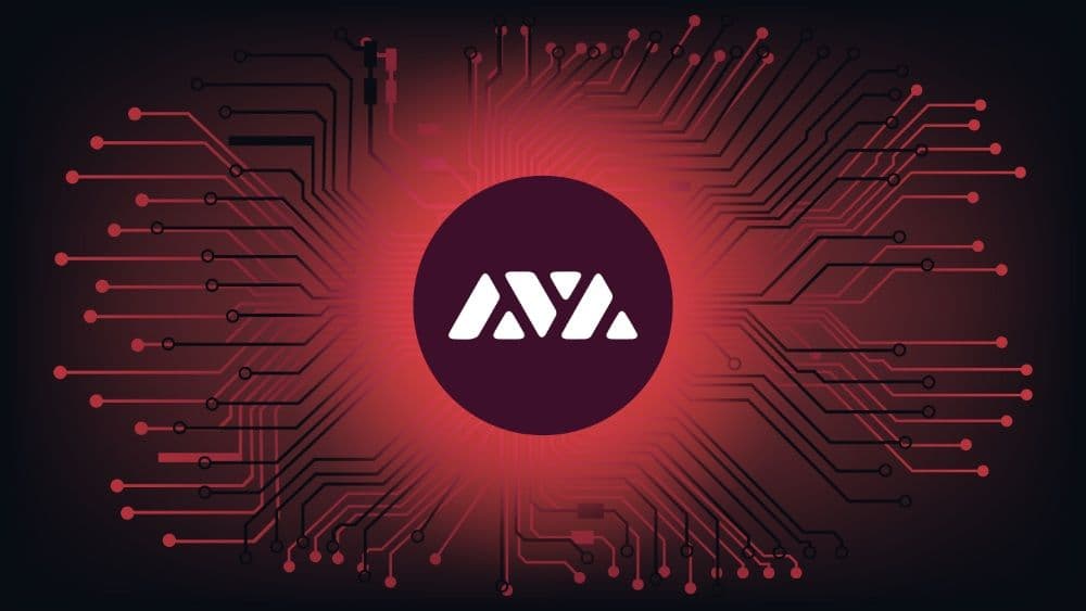 Avalanche Netzwerk ist ausgefallen! AVAX Kurs stürzt ein