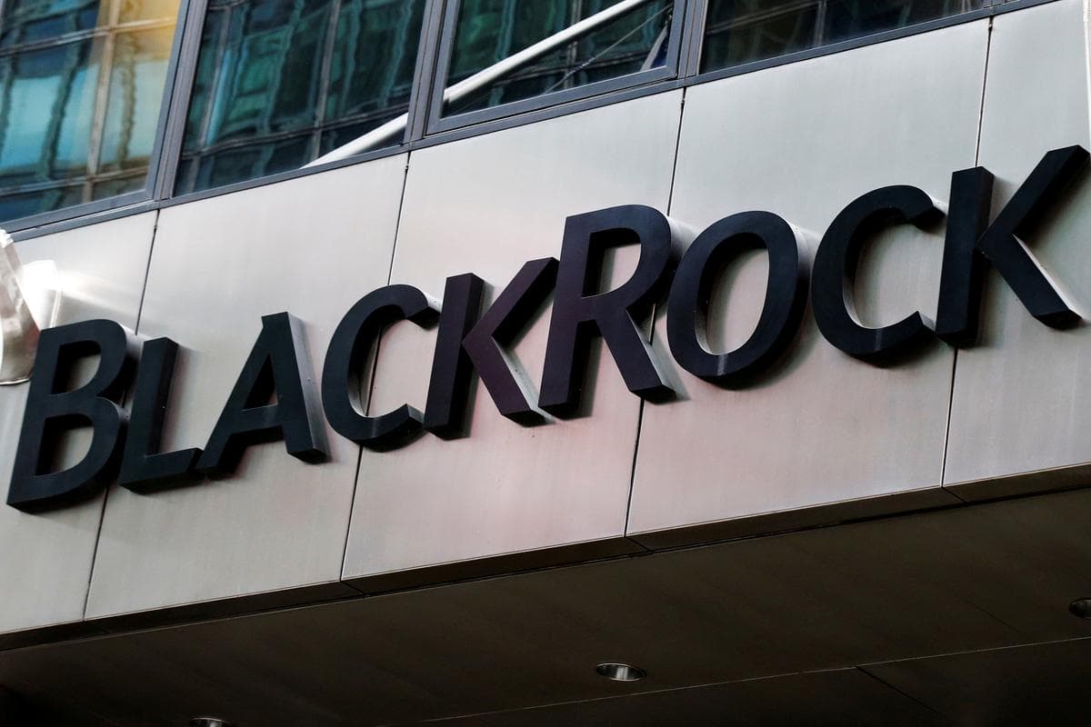 BlackRock CEO: Bitcoin konnte ein Wertspeicher sein, aber Markt noch sehr klein