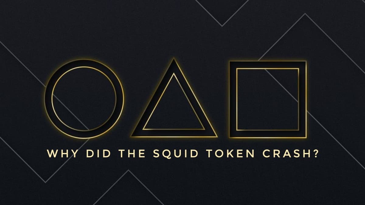 SQUID Token Crash – What the Hell Happened?