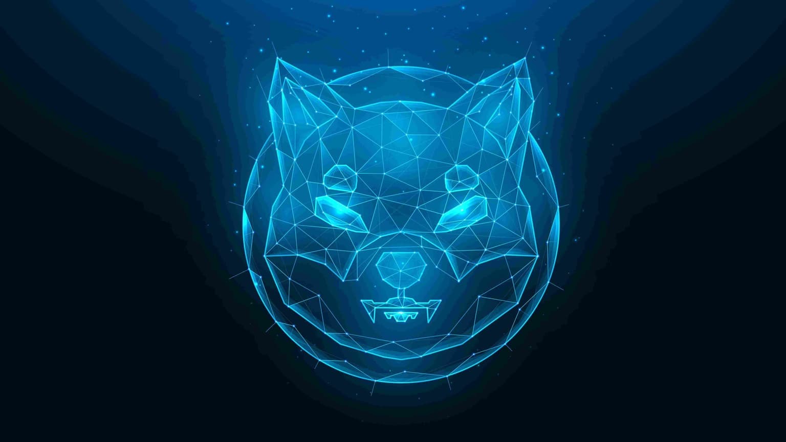 Shiba Inu Prognose – Warum eine Investition sich in Shiba Inu nicht lohnt