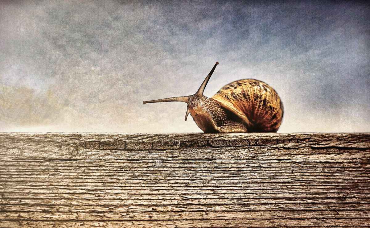 Is Bitcoin Too Slow?