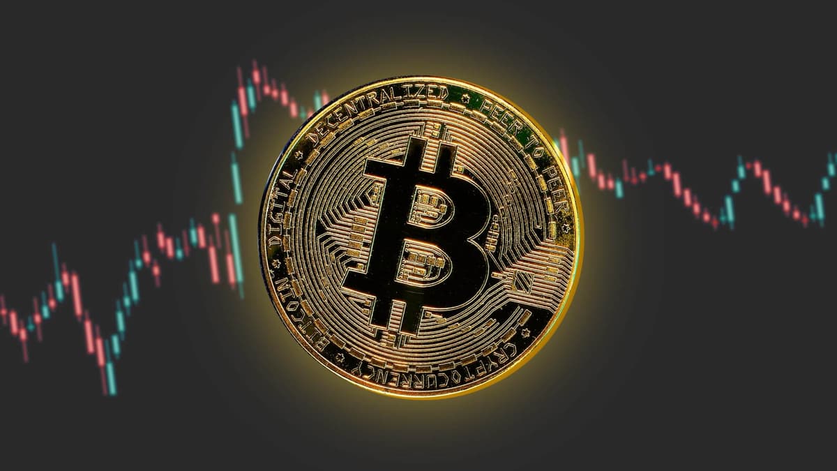 ¡Otro CRASH de Bitcoin acaba de ser PROBADO! ESTE grafico lo confirma