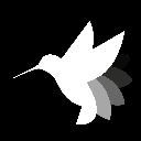 Hummingbot Governance Tokencoin image