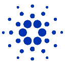 Cardanocoin image