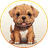 TosaInu BSCcoin image