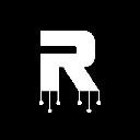 The Root Networkcoin image