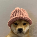 dogwifhatcoin image