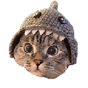 Coin Image