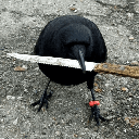 crow with knifecoin image