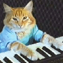 Keyboard Catcoin image