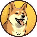 Dogecoin20coin image