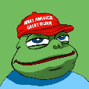MAGA PEPE (SOL)coin image