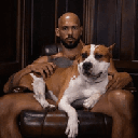Andrew Tate's Dogcoin image
