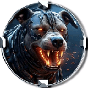 Coin Image