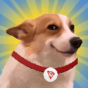 SUNDOGcoin image