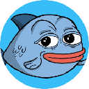 Coin Image
