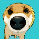 Pochita (pochita.biz)coin image