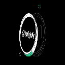 Coin Image